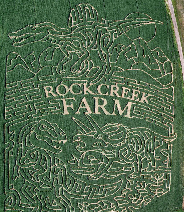 Gustavo Lozada farmer