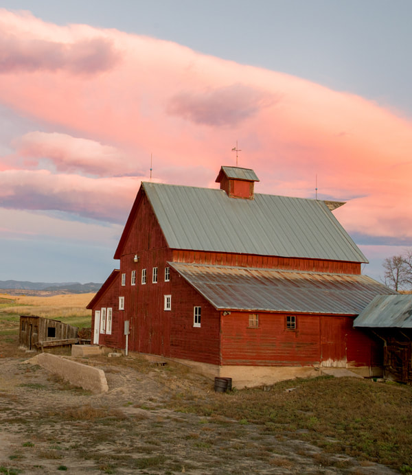 Bob Raynolds farmer